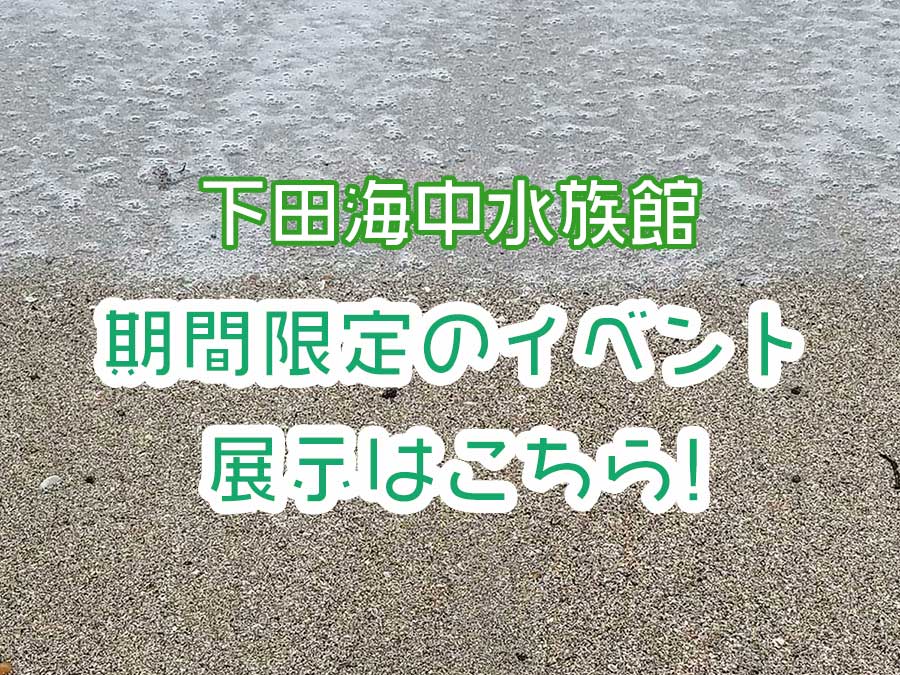 下田海中水族館 鯵祭(あじさい)~アジをテーマにしたユニークな餌やり体験~