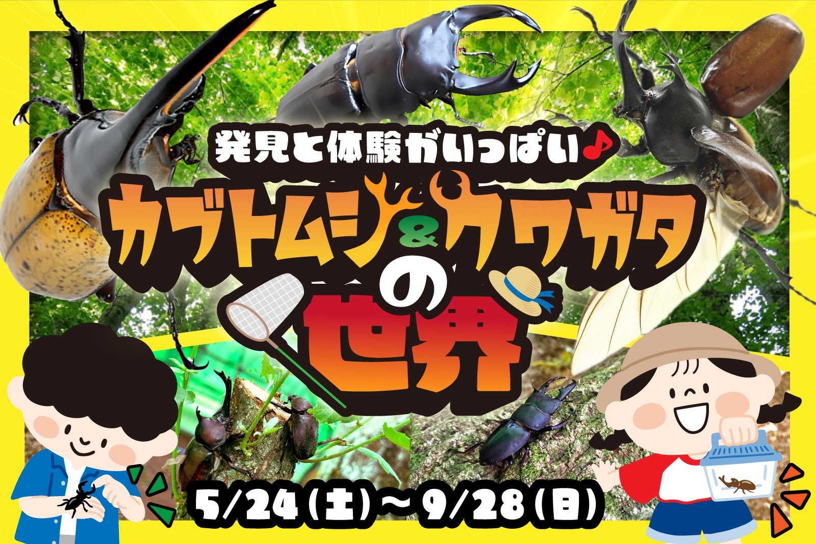 思い出つくろう!【カブトムシ・クワガタ】イベント