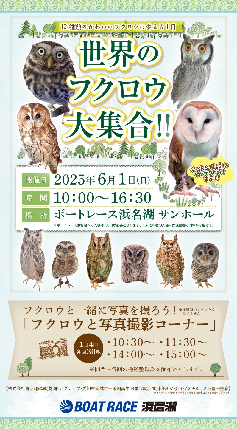世界のフクロウ大集合!!