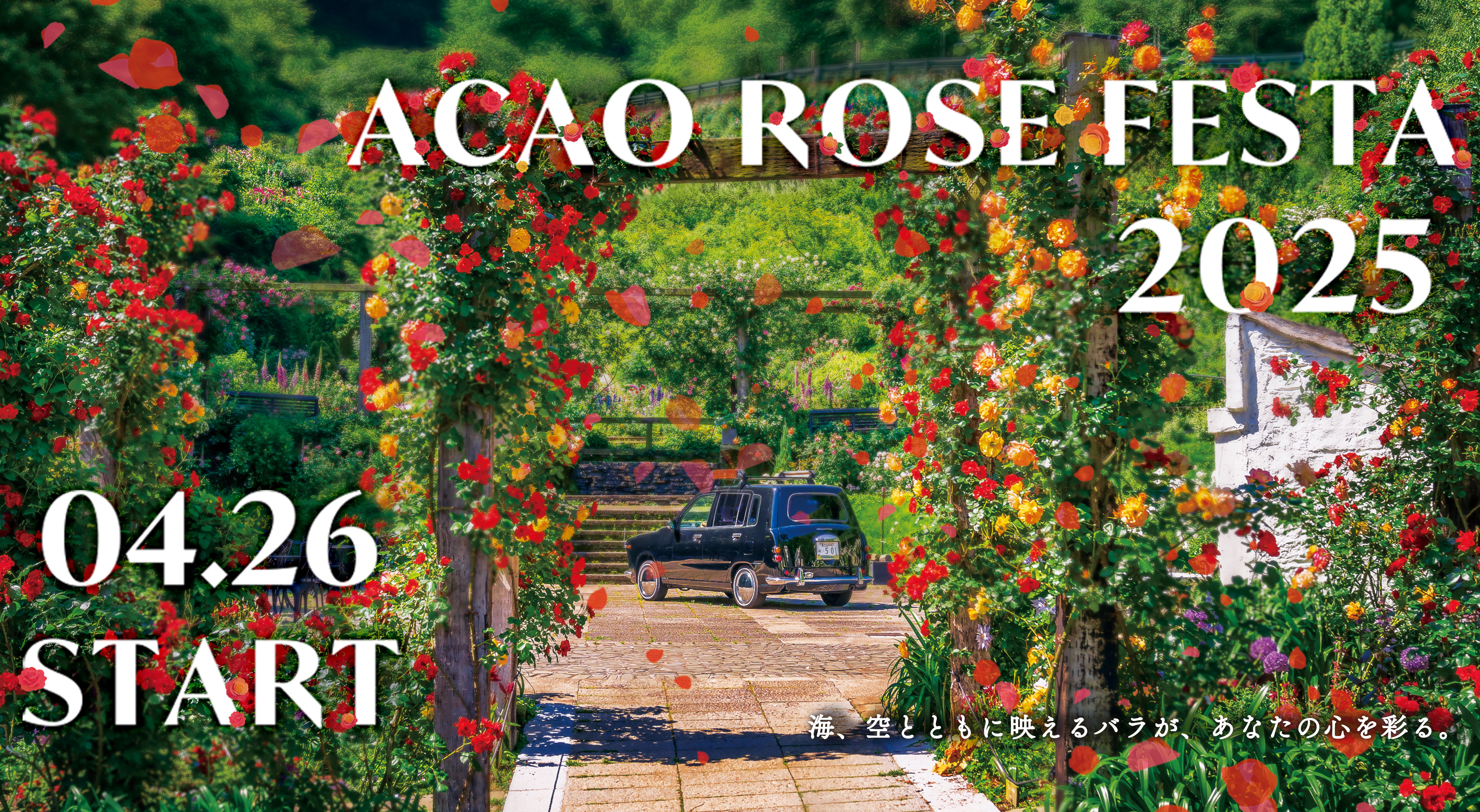 ACAO ROSE FESTA 2025