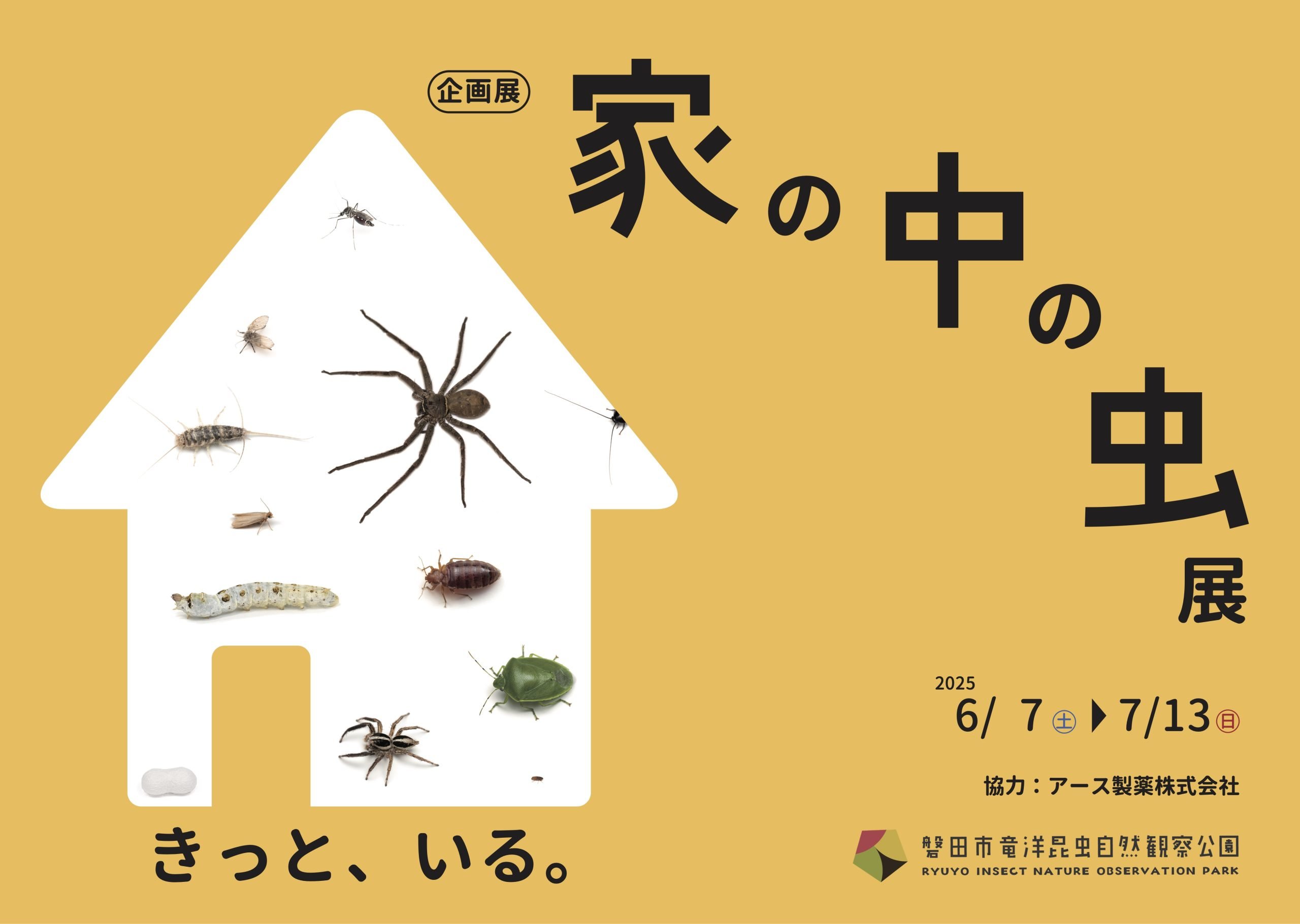磐田市竜洋昆虫自然観察公園 企画展「家の中の虫展」