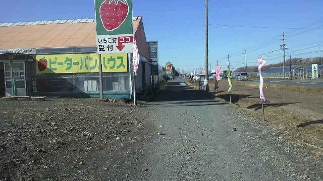 いちご狩り<いちごのピーターパンハウス>
