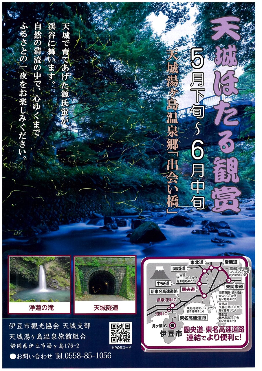 天城ほたる観賞