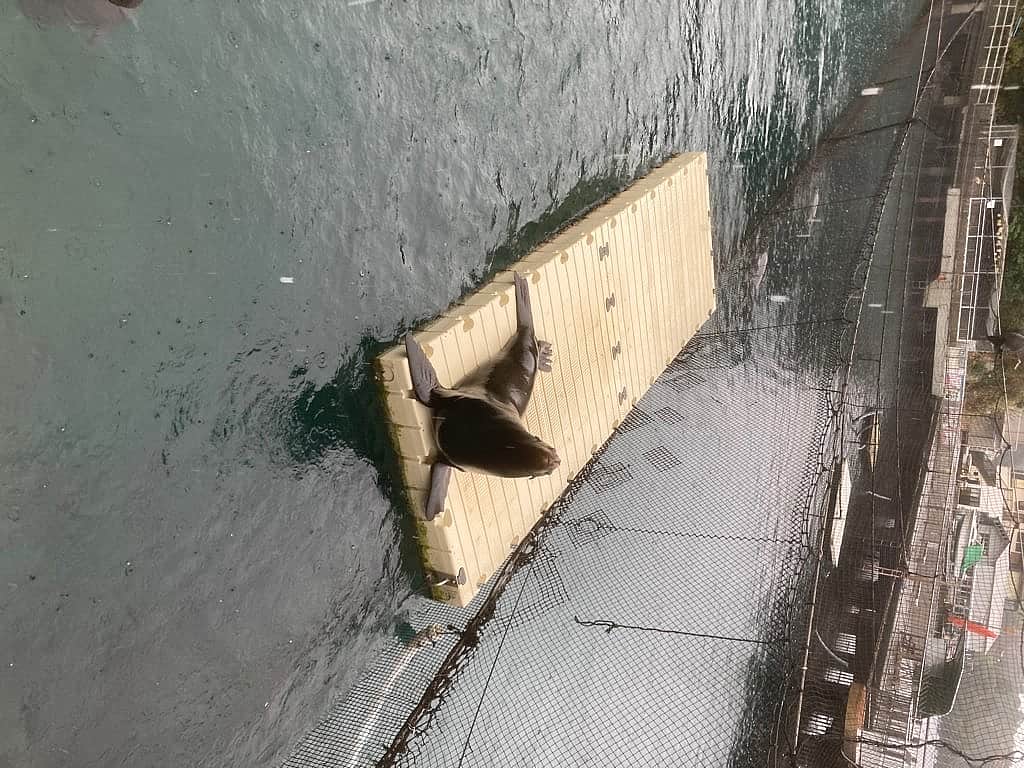 伊豆・三津シーパラダイスの写真