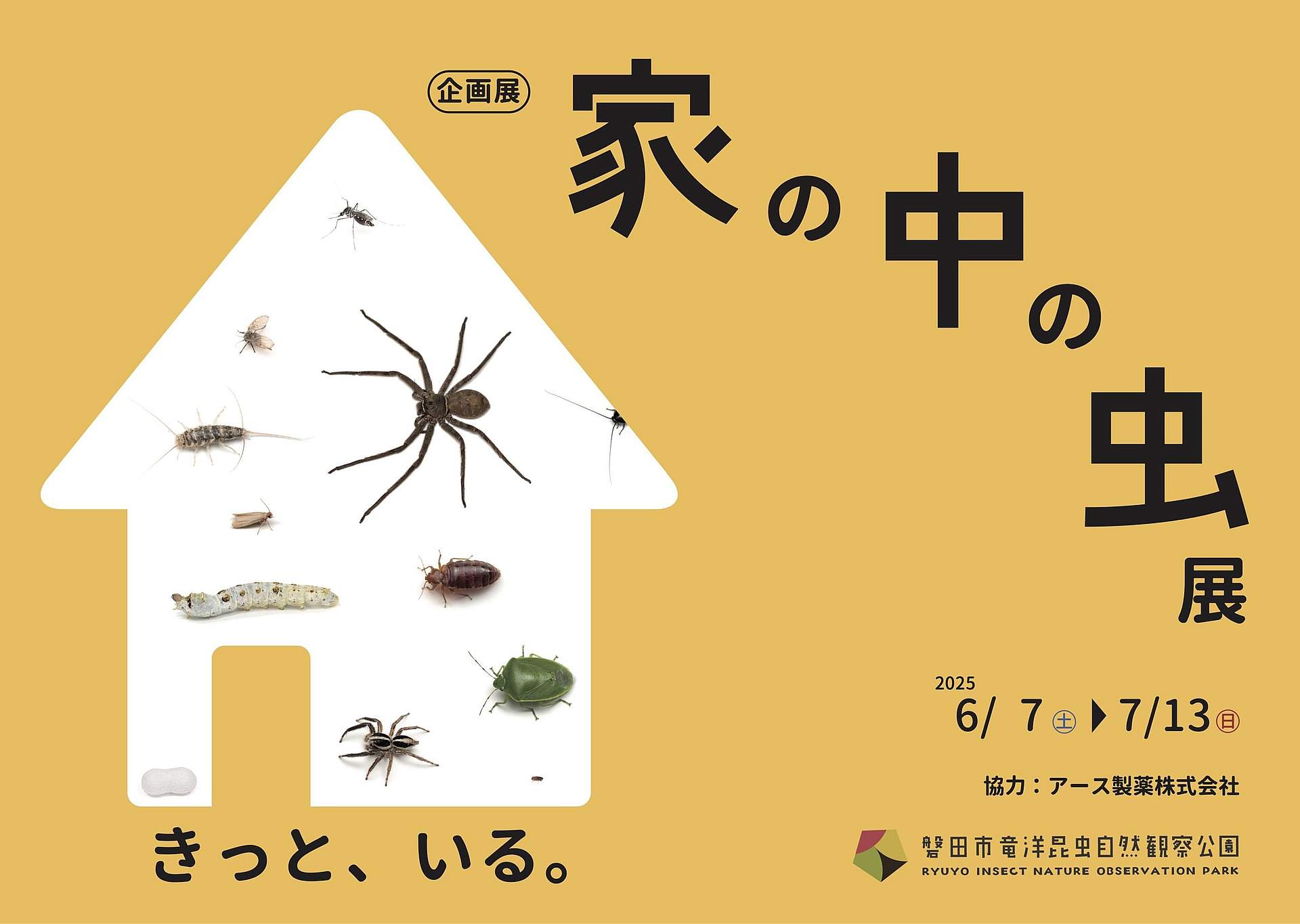 磐田市竜洋昆虫自然観察公園 企画展「家の中の虫展」の写真