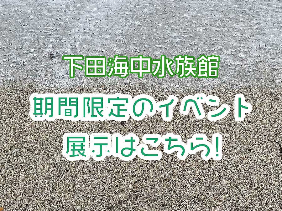 下田海中水族館 鯵祭(あじさい)~アジをテーマにしたユニークな餌やり体験~