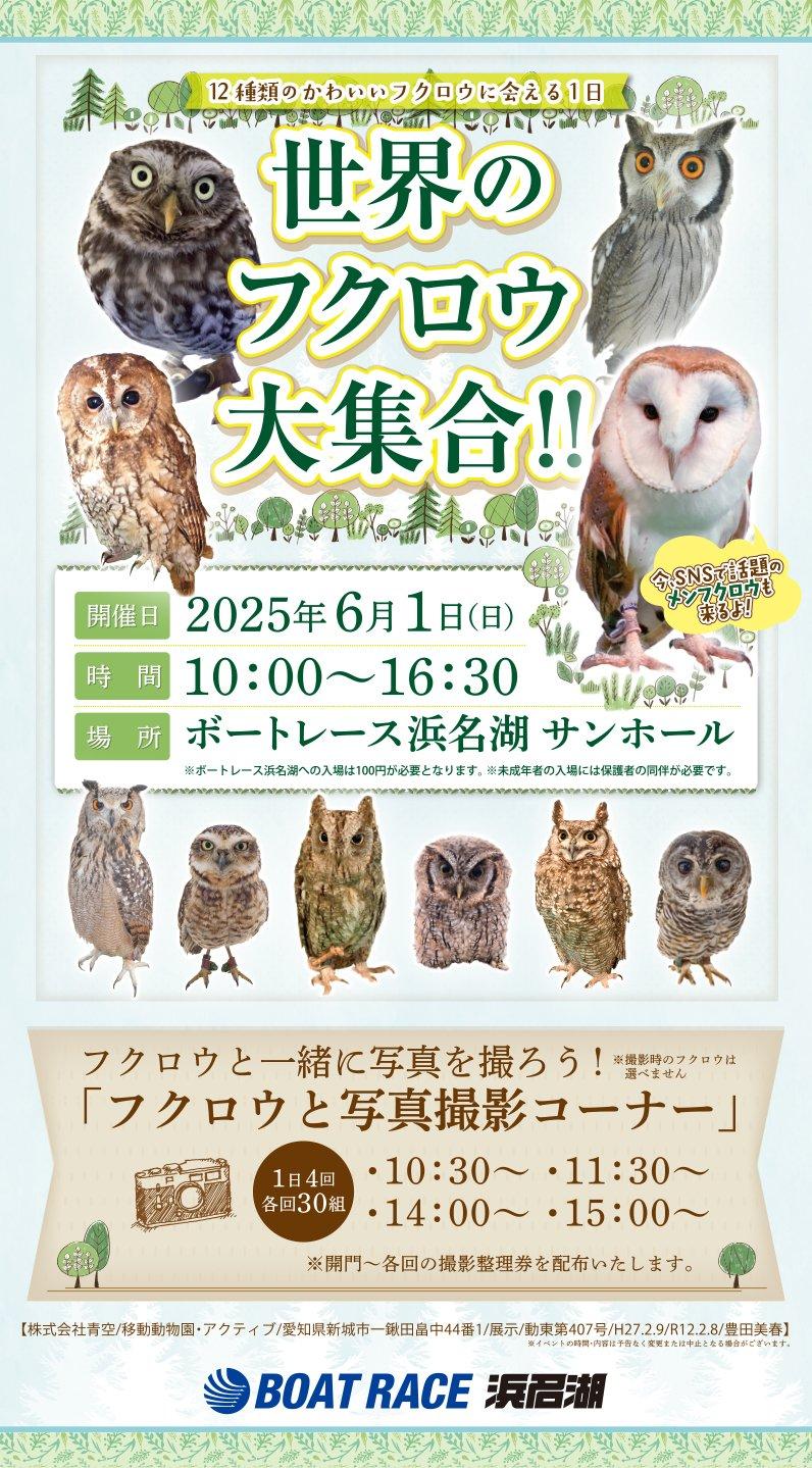 世界のフクロウ大集合!!