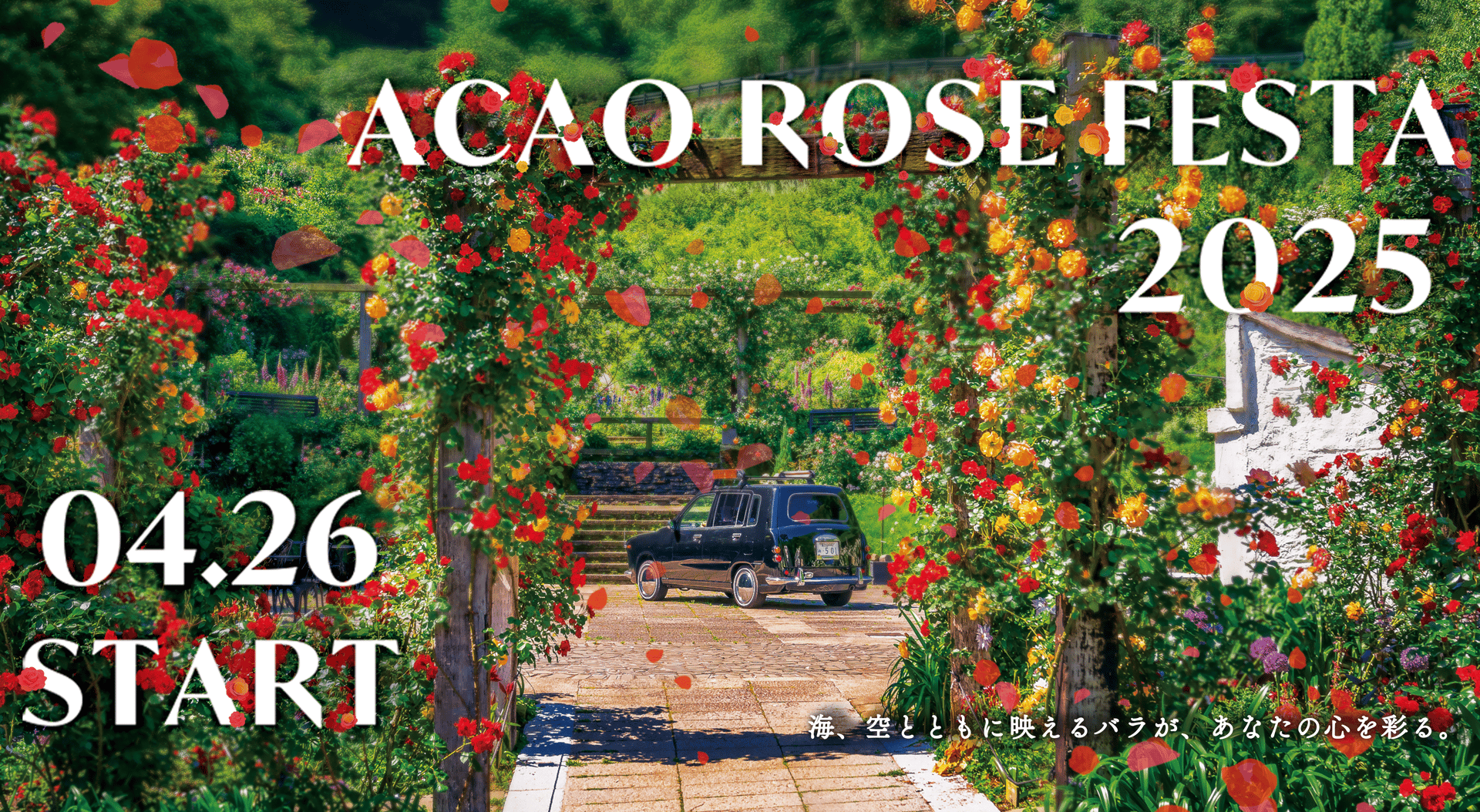 ACAO ROSE FESTA 2025