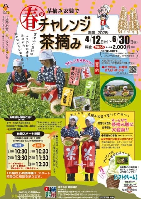 春のチャレンジ茶摘み体験 <蔵屋鳴沢>