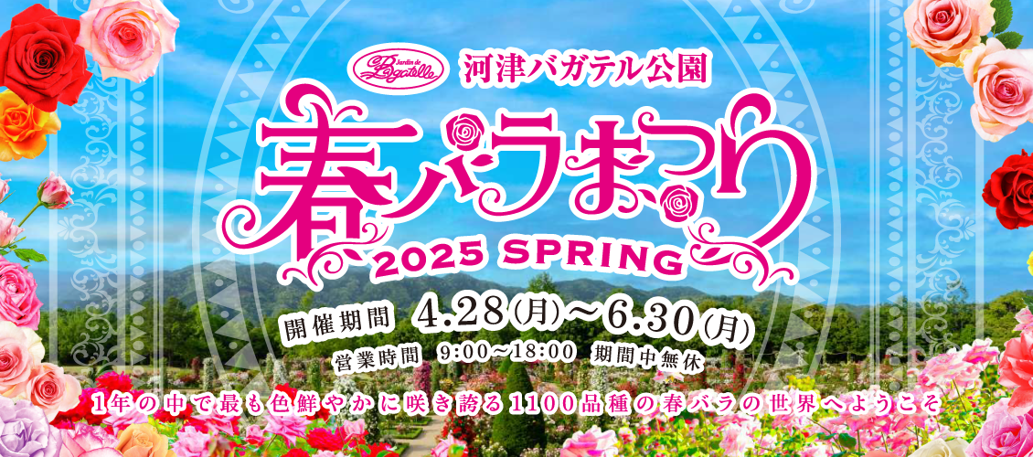 河津バガテル公園 春バラまつり画像
