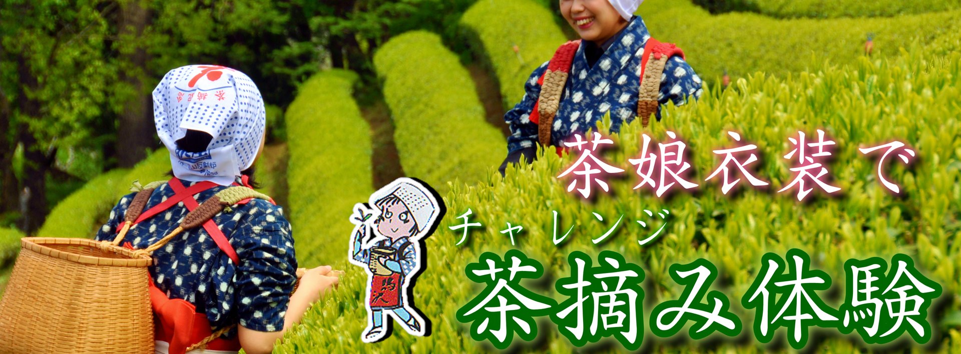 家族で茶摘み体験!世界遺産を望む絶景茶畑画像