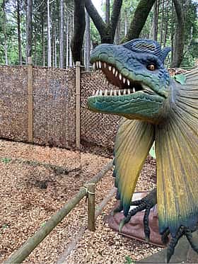 三島スカイウォーク