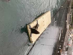 伊豆・三津シーパラダイス