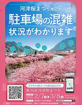 第36回河津桜まつり