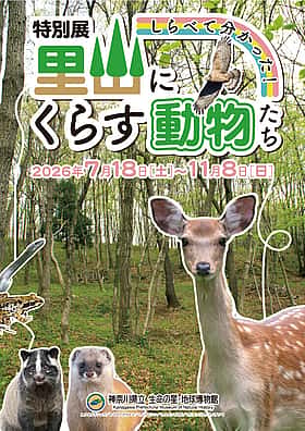 第147回 サロン・ド・小田原 里山の動物-自動撮影カメラがとらえた動物たちのくらし-