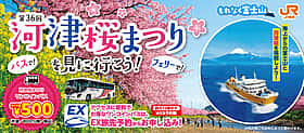河津桜まつり 夜桜ライトアップ