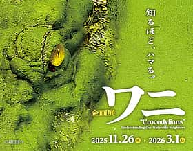企画展「ワニのいるところ」