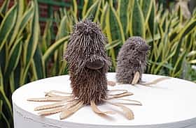 不思議な植物展