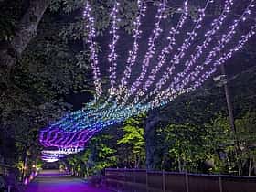 御殿場市 夏の銀河＜御殿場高原 時之栖＞