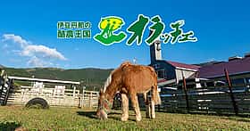 酪農王国オラッチェ