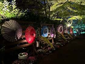 修善寺虹の郷 紅葉祭り 2025