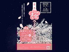 河津桜ライトアップ ～雲見～