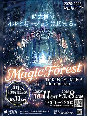 時之栖イルミネーション2025-2026『ひかりのすみか』