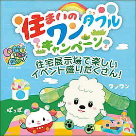 キャンペーン