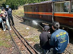 修善寺 虹の郷(匠の村 もみじ林)の紅葉