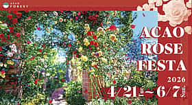 ACAO ROSE FESTA 2026