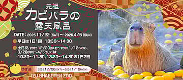 元祖カピバラの露天風呂