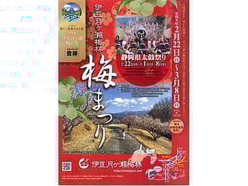 伊豆月ヶ瀬梅林 梅まつり