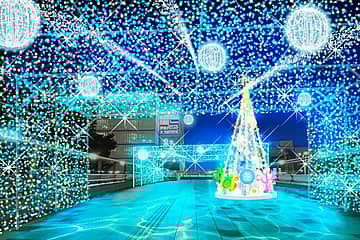 焼津市ライトアップ・イルミネーション2025「海空ファンタジア~願い星に捧ぐ祈り~」