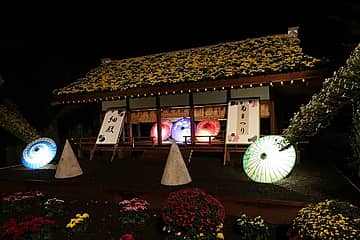 第73回 菊まつり