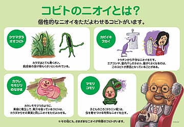 こびとづかんマーケット