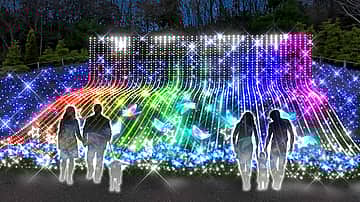 修善寺虹の郷 もみじライトアップ 2025