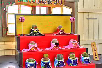 第十三回しゃぼてんひなまつり