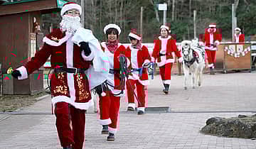 クリスマス動物パレード