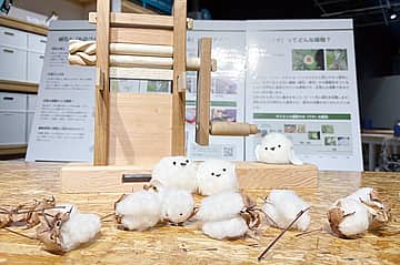 MENKA Fair 2026「綿花ツアー」