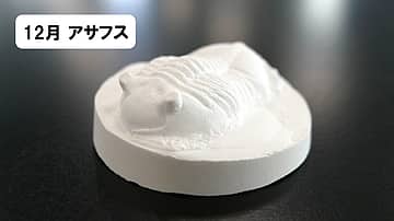 わくわく科学工作「化石のレプリカ~三葉虫1~」