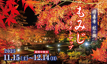 修善寺虹の郷 紅葉祭り2025
