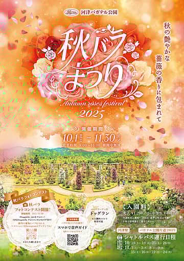 秋バラまつり