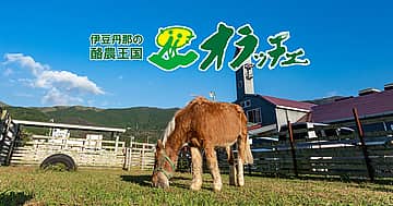 酪農王国オラッチェ