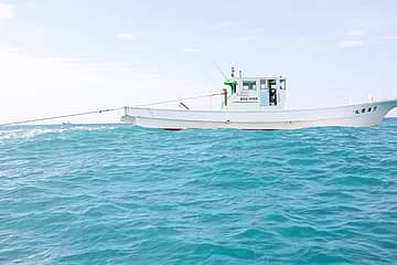 遠州しらすフェス2025