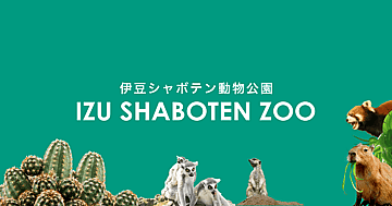 元祖カピバラの露天風呂