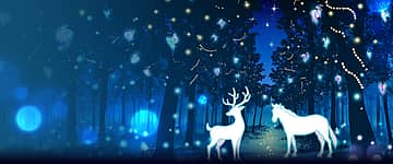 つま恋イルミネーション