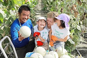 甘くておいしい♪静岡三保・トマト牧場「マスクメロン」の栽培&収穫体験