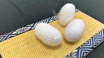 わくわく科学工作「カイコのまゆがコロコロりん」