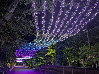 御殿場市 夏の銀河<御殿場高原 時之栖>の写真 2