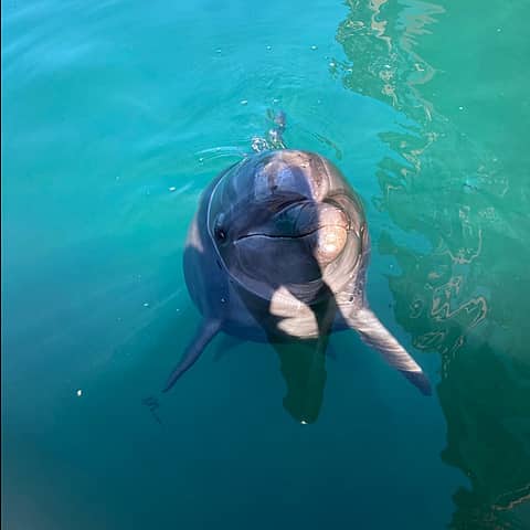 伊豆・三津シーパラダイスの写真